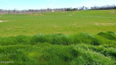 /international/us/779-graysport-crossing-road-lot-10-gore-springs-ms-110089772116/