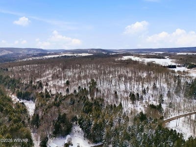 /international/us/814-route-4008-forksville-pa-110106140707/