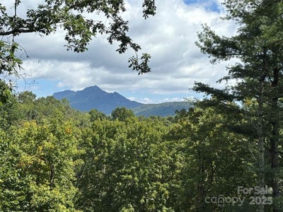 /international/us/linhigh-drive-newland-nc-110102076435/