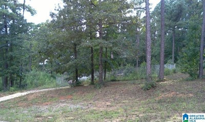 /international/us/7890-saddlewood-drive-helena-al-110101292239/?lang=en