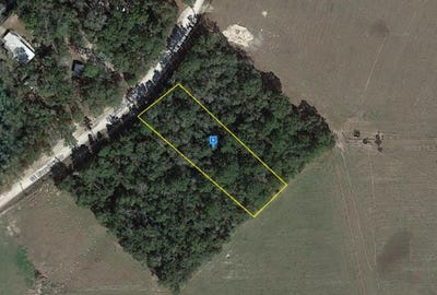 /international/us/263-se-riverside-east-drive-branford-fl-110109061566/