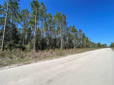 /international/us/chesser-hammock-road-pierson-fl-110097771712/