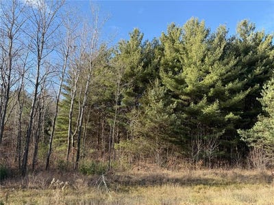 /international/us/l10-blk1-177th-street-nw-orrock-twp-mn-110103757699/