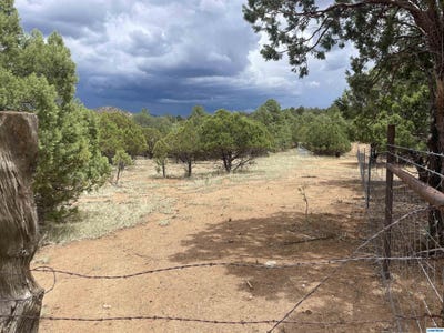 /international/us/hwy-15-pinos-altos-nm-110101102039/?lang=de