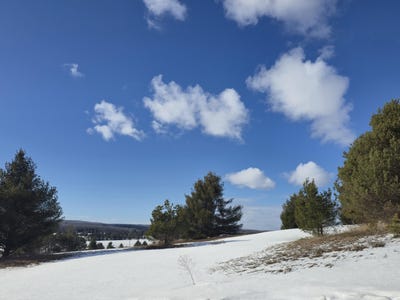 /international/us/5850-deer-run-trail-harbor-springs-mi-110106767853/