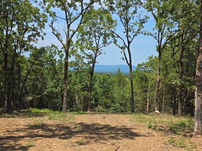 /international/us/2-tbd-potts-mountain-road-heavener-ok-110109058421/