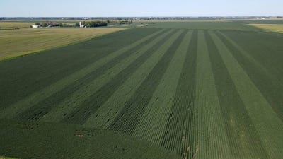 /international/us/72605-220th-ave-hayfield-mn-110093635470/