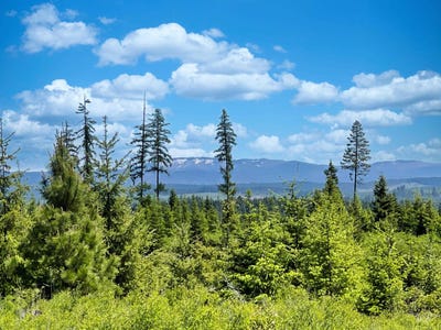 /international/us/timberline-heights-parcel-4-weippe-id-110120531281/