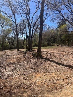 /international/us/4-lakeview-circle-hilltop-lakes-tx-110106717896/
