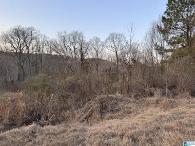 /international/us/868-hoover-road-lot-0-quinton-al-110105289810/