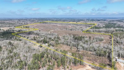 /international/us/919-county-road-6628-banks-al-110106692891/