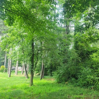 /international/us/11348-oakwood-drive-jerome-mi-110102166062/