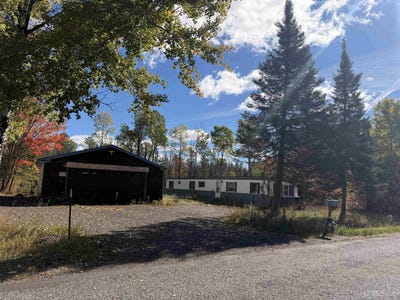 /international/us/9114-johnson-road-bessemer-mi-110120137465/