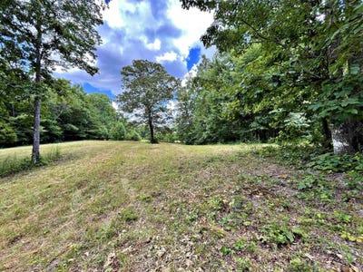 /international/us/lot-1-keylon-hollow-road-ten-mile-tn-110100815063/?lang=en