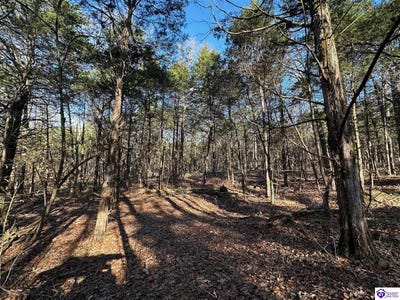 /international/us/2299-lone-star-road-upton-ky-110097664404/