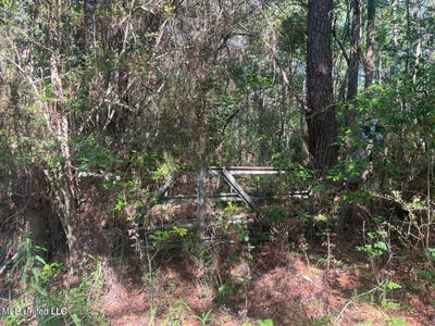/international/us/martin-young-road-moss-point-ms-110101917463/