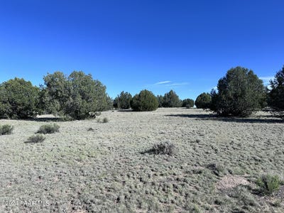 /international/us/0-w-slow-creek-road-seligman-az-110092550554/
