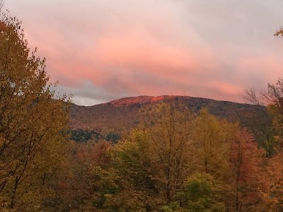 /international/us/769-straight-road-mount-holly-vt-110107689959/