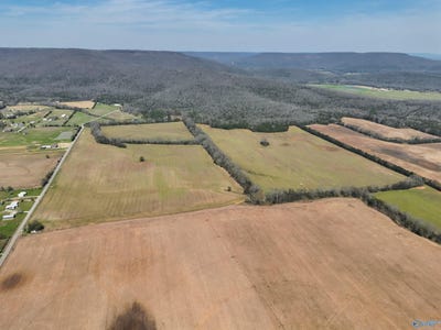 /international/us/160-acres-county-road-530-scottsboro-al-110106949683/
