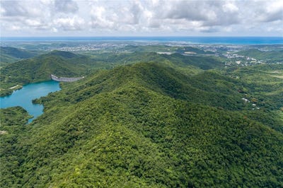 /international/us/carr-503-ponce-pr-110102306631/