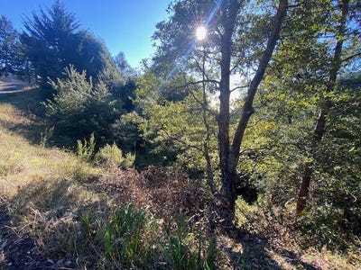 /international/us/615-muskrat-circle-whitethorn-ca-110108151678/