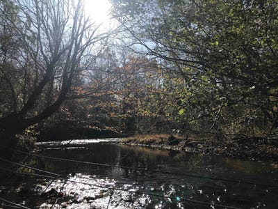 /international/us/00-old-weatherford-creek-rd-lutts-tn-110100635315/