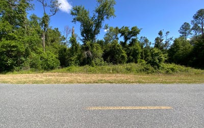 /international/us/tbd-168th-street-live-oak-fl-110107545598/