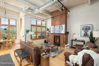 /international/us/231-robinson-street-basalt-co-110109217679/