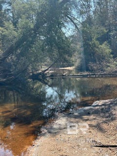 /international/us/wolf-log-road-flomaton-al-110105919226/