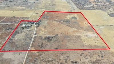 /international/us/15317-co-rd-a-allison-tx-110100724498/