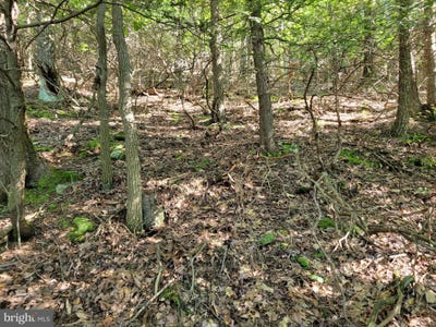 /international/us/lot-89-ridge-run-claysburg-pa-110075123444/?lang=zh-tw