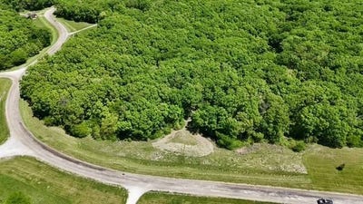 /international/us/phase-3-lot-38-big-buck-run-moravia-ia-110105384864/
