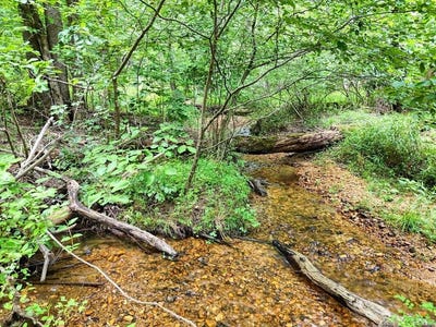 /international/us/17-acres-mulky-branch-lane-blairsville-ga-110101238968/?lang=en
