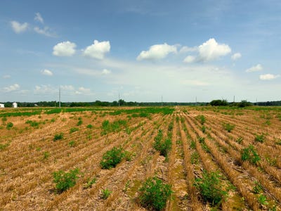 /international/us/14839-westfall-road-lot-3-chillicothe-oh-110100894810/?lang=zh-tw