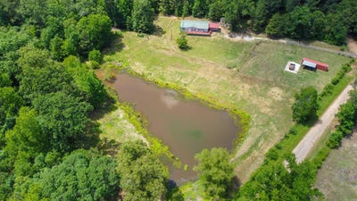 /international/us/3388-county-road-4223-bivins-tx-110099319702/