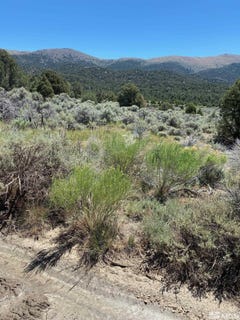 /international/us/el-dorado-canyon-carson-city-nv-110076694275/?lang=zh-tw