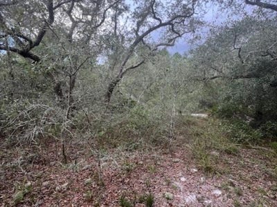 /international/us/149-levy-bay-road-panacea-fl-110098568137/