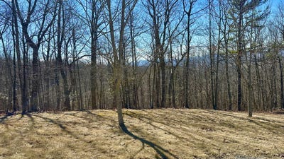 /international/us/white-rock-trail-lot-91-caldwell-wv-110102693243/