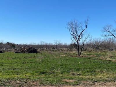 /international/us/1600-childress-street-lot-s215-robert-lee-tx-110094768578/
