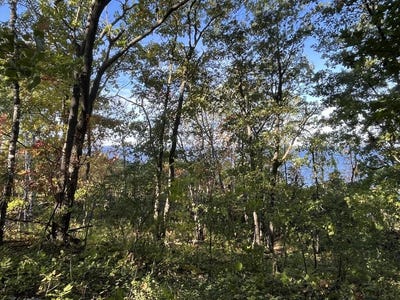 /international/us/w-whitefish-bay-rd-sturgeon-bay-wi-110120454749/