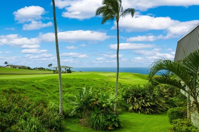 /international/us/3880-wyllie-rd-princeville-hi-110108437221/