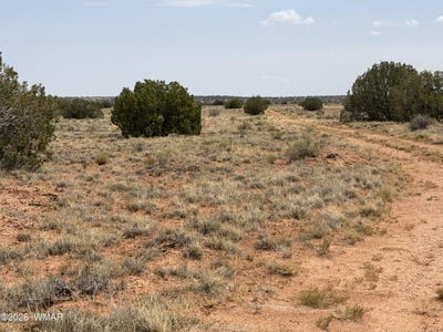 /international/us/chevelon-canyon-ranch-drive-heber-az-110109456872/