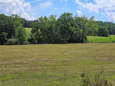 /international/us/7-38-acres-rosseau-co-rd-13-stockport-oh-110101053937/