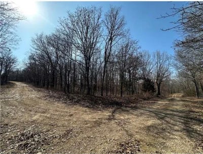 /international/us/rolfs-place-lot-3155-3156-3101-edwards-mo-110108934115/?lang=fr