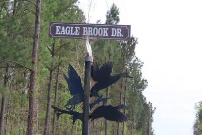 /international/us/0-eagle-brook-lewisville-ar-110108474959/