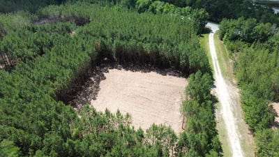 /international/us/highway-311-lot-5-cross-sc-110108225262/