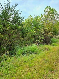 /international/us/holly-brook-street-north-wilkesboro-nc-110102779887/