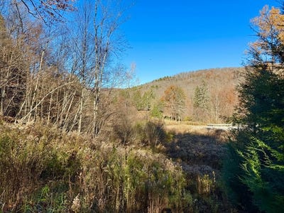 /international/us/taylor-run-road-blossburg-pa-110103252308/