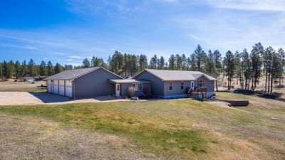 /international/us/24842-wild-turkey-drive-custer-sd-110107465916/