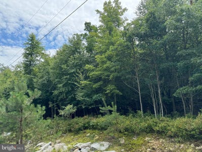 /international/us/mv-073-stoney-mountain-road-hazle-township-pa-110092368001/